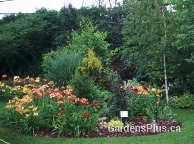 Front Island bed