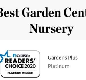We Won Platinum!