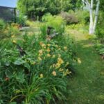 Front island boot bed