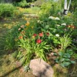 Front island boot bed